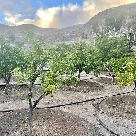 La Limera Con Piscina Privada Santa Lucia De Tirajana